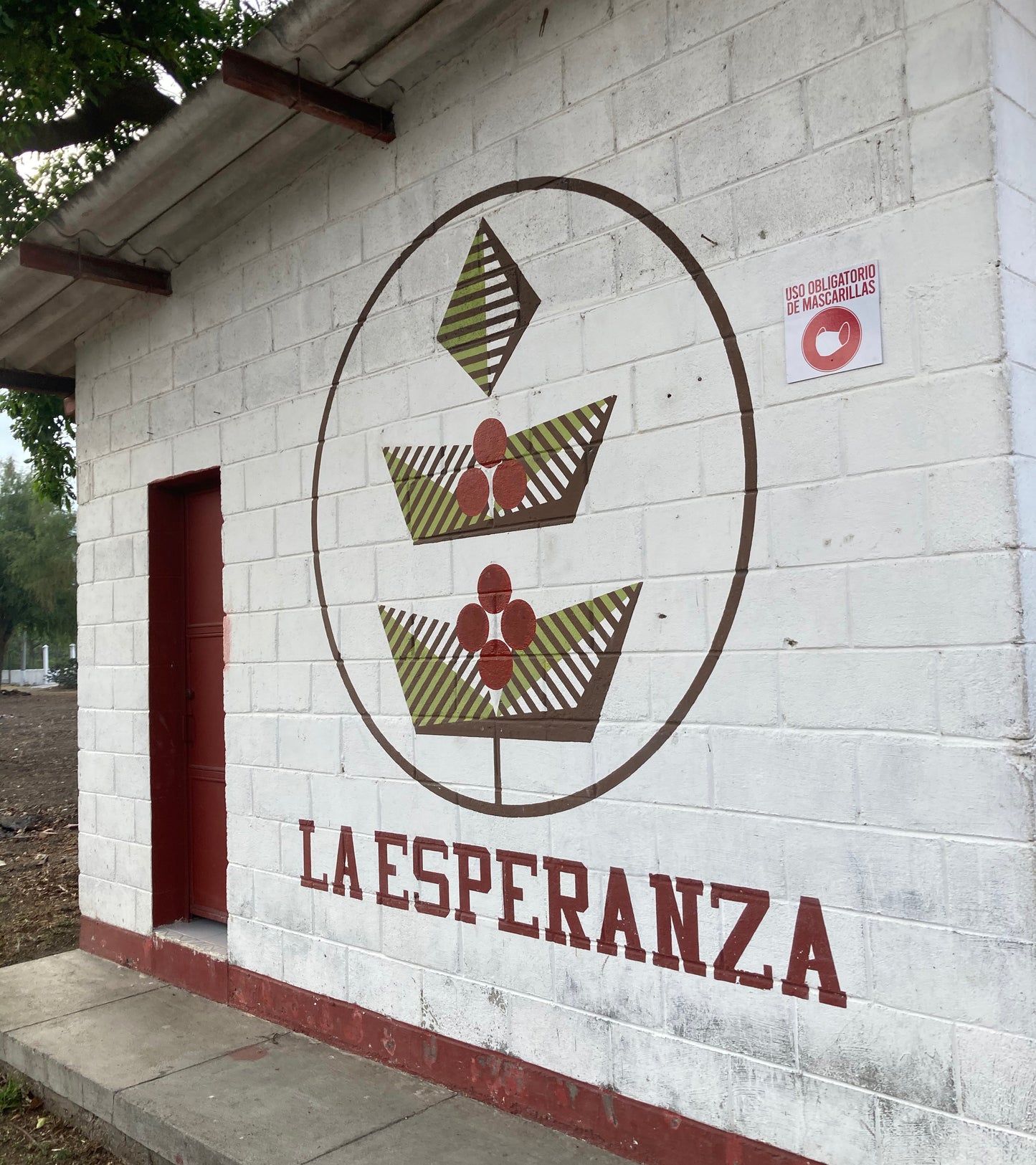 Guatemala Microlot - Finca La Esperanza