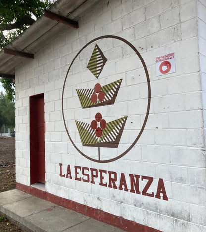 Guatemala Microlot - Finca La Esperanza